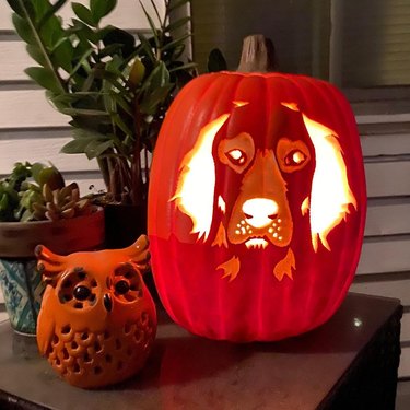 dog-o-lantern