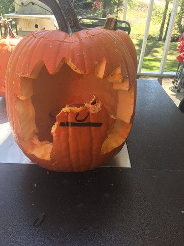 dog eats halloween pumpkin