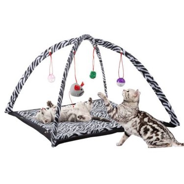 Two cats playing on a zebra print fleece Petmaker Cat Activity Center Interactive Play Area for Cats and Kittens