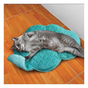 A grey cat happily lying on a blue KONG Play Spaces Cloud Cat Toy