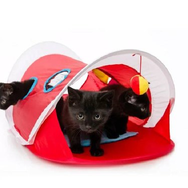 Three black kittens playing in a red Hartz Just For Cats Peek and Play Pop-Up Tent Cat Toy