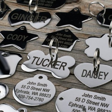 An array of stainless steel dog ID tags in different shapes like bones, hearts, circles, stars, and houses.