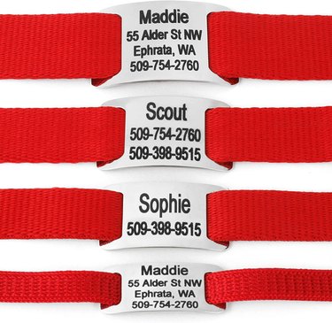 Dog tags that slip onto the collar pictured on different sizes of red collars.