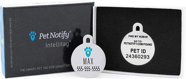 Pet Notify Intellitag in its box. One side says your dog's name and phone number and the other side gives information about the website you can visit.