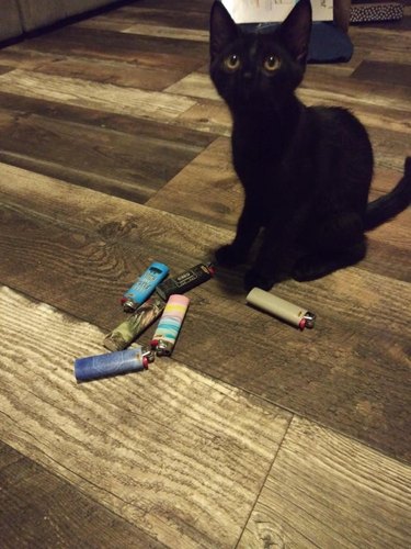 A black kitten sits in front of a pile of lighters.