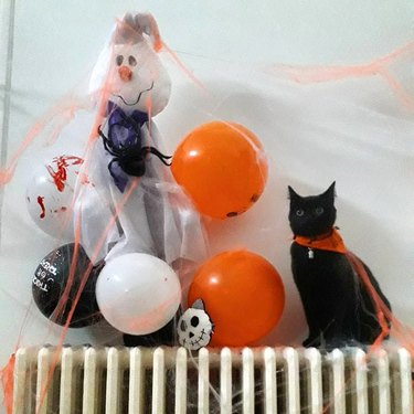 black cat poses with Halloween balloons