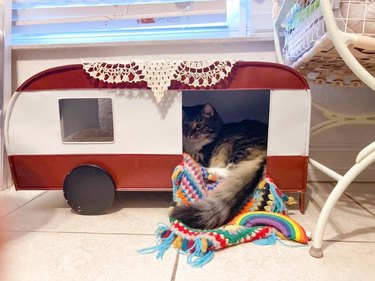 cat sleeps in tiny camper van