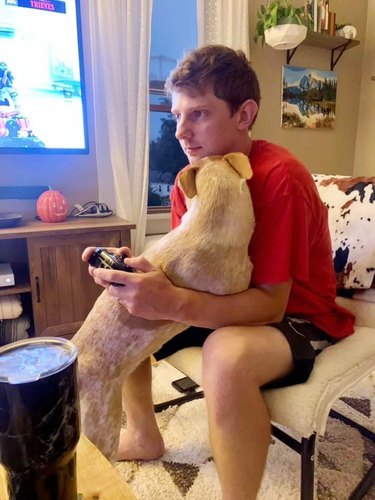 dog hugs man playing video games