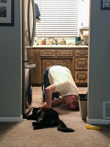 man and cat work together to retrieve toy under refridgerator