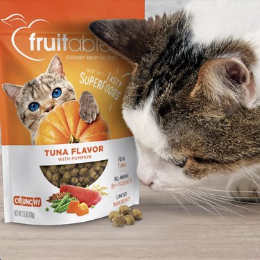 tuna pumpkin cat treats