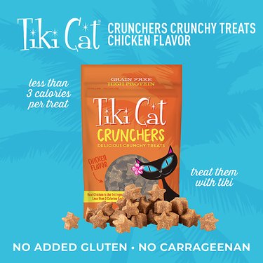 chicken pumpkin cat treats