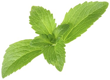 "Stevia Rebaudiana, Sugar Substitute Cutout"