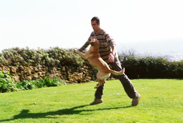 Young man playing with a dog in a lawn