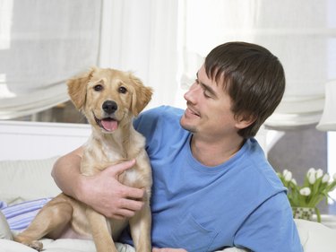 Man wearing blue t-shirt sitting on a bed with his Labrador puppy.