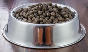 dogs food