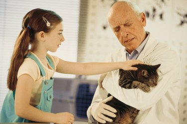 Veterinarian holding girl's cat