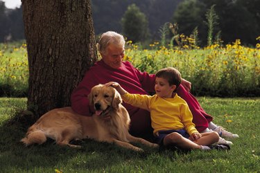 Mature man with grandson and dog under tree