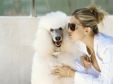 Woman kissing Poodle