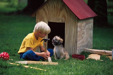 Boy building a dog house for puppy