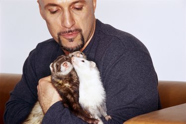 Man with ferrets