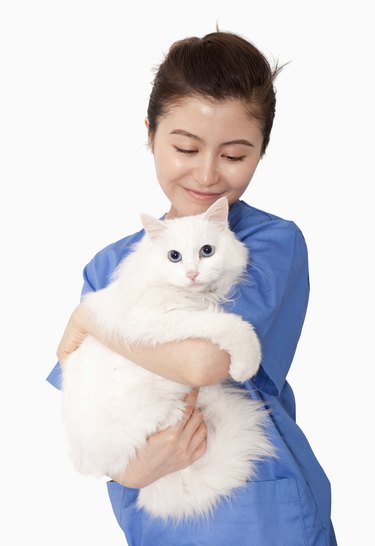 Portrait of female veterinarian holding a white cat