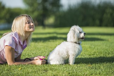 girl and dog