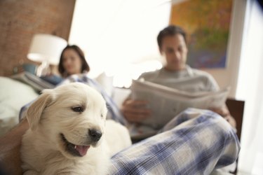 Couple relaxing on bed with dog