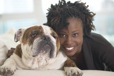 Young African woman smiling with British Bulldog