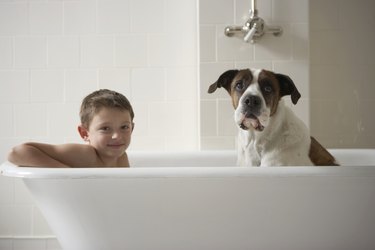 Young boy (6-8) in bath tub with dog, portrait