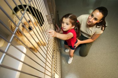 Mother and daughter looking at dog in animal shelter kennel