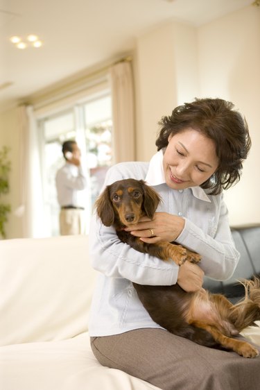 A Senior Adult Woman Holding a Dog in a Living Room, Front View, Side View, Differential Focus