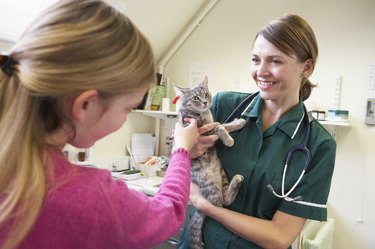 Young Girl Bringing Cat For Examination By Vet