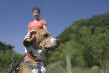 Dog and woman in field