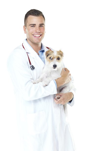 You can trust me with your dog's healthcare