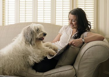 Dog and owner lying on sofa