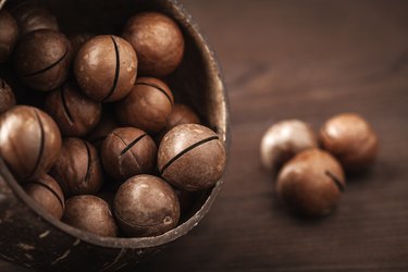 macadamia nuts