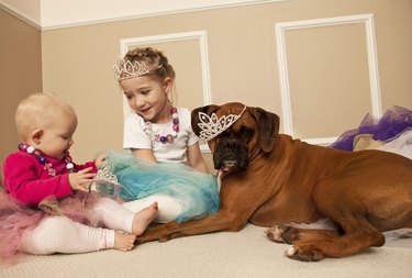 little girl and baby playing dress up with a dog