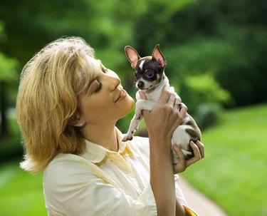 Woman holding up chihuahua