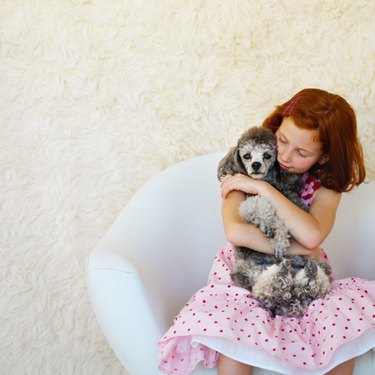 girl (10-11) sitting in a chair and holding a poodle