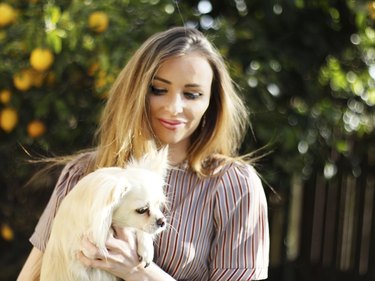 Young woman in nature with chihuahua