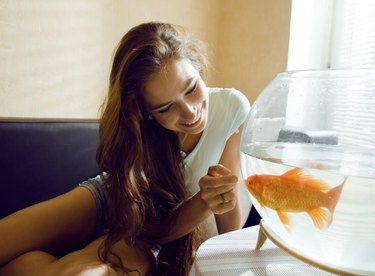 Girl looking at gold fish in large bowl