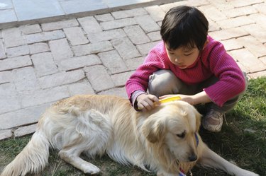 Asian kid playing with dog