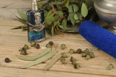 Eucalyptus seeds