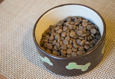 How to Make Homemade Food for Dogs With Pancreatitis Cuteness