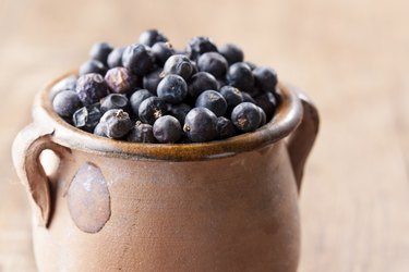 Pile of juniper berries on ceramic bowl