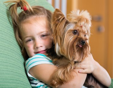 Cute little girl with yorkshire terrier indoor