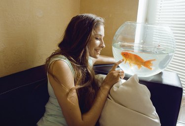 pretty woman playing with goldfish at home, sunlight morning