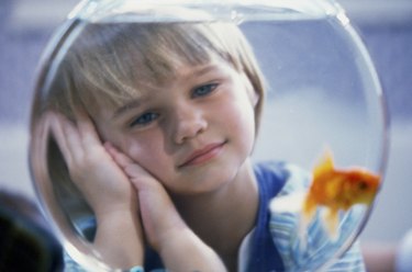 portrait of young girl looking at goldfish bowl