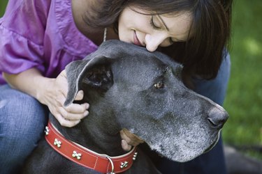 Affectionate woman with Great Dane