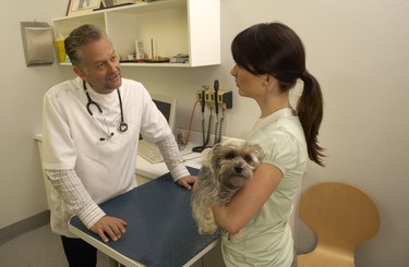 Vet talking to young woman holding dog